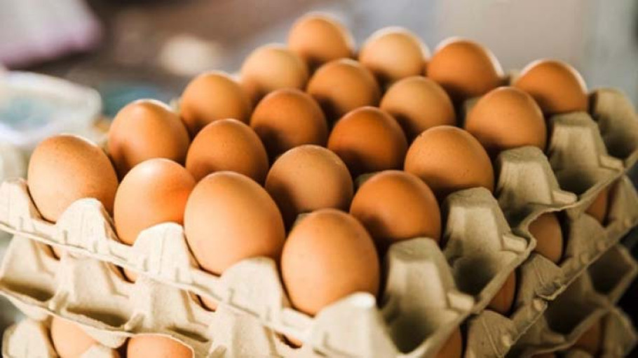 Capai Angka Rp1,15 Miliar, Indonesia Ekspor Telur Ayam Konsumsi ke Singapura