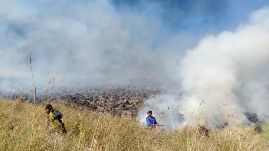 Gunung Bromo Ditutup Sementara Akibat Kebakaran Hutan dan Lahan