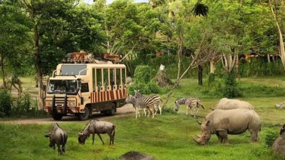 Nikmati Liburan Nataru di Taman Safari Indonesia: Harga dan Fasilitas Terbaru
